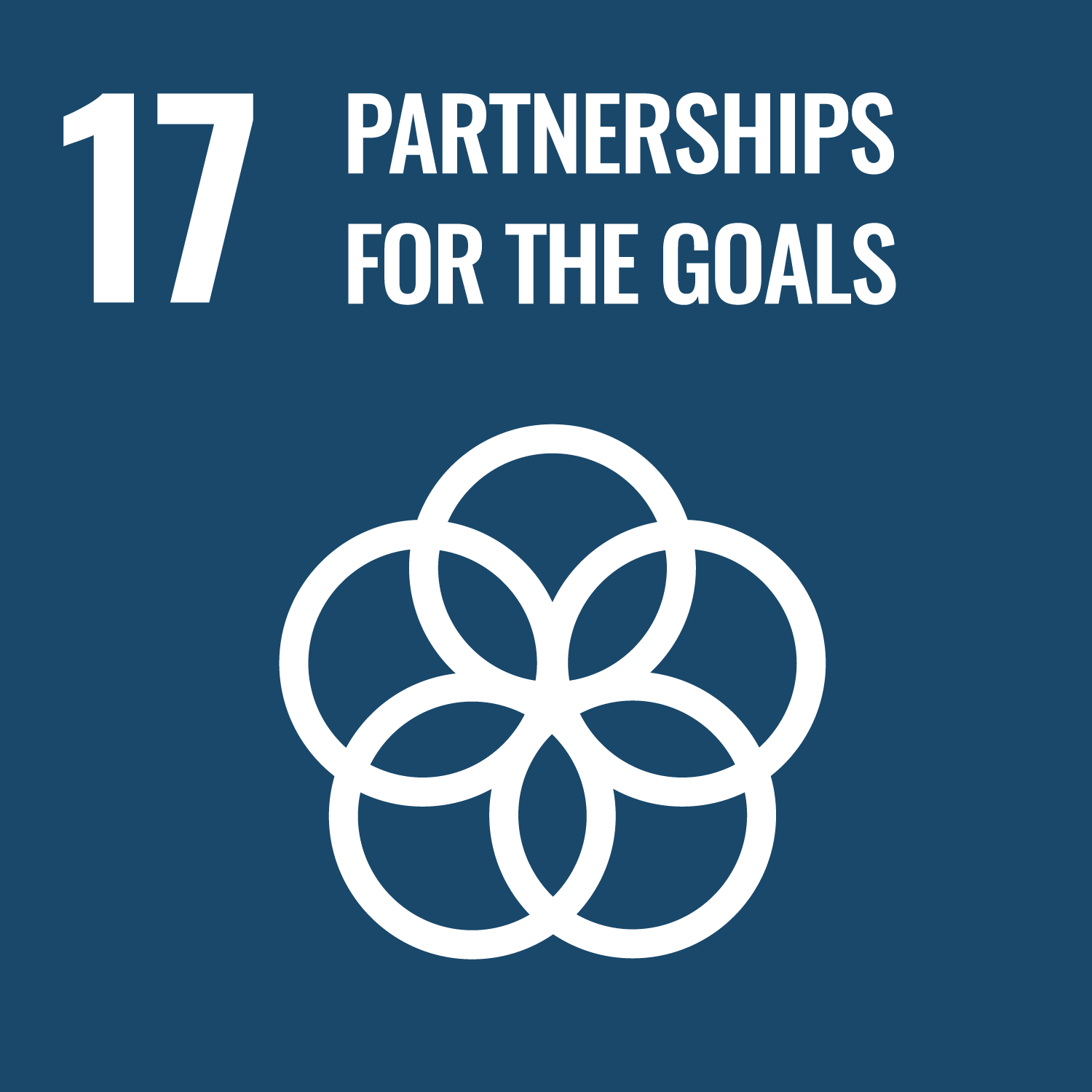 SDG Goal 17: Partnerships for the Goals blank